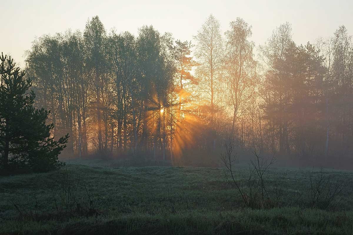 Восход солнца в долине реки Гусь - Сергей Курников