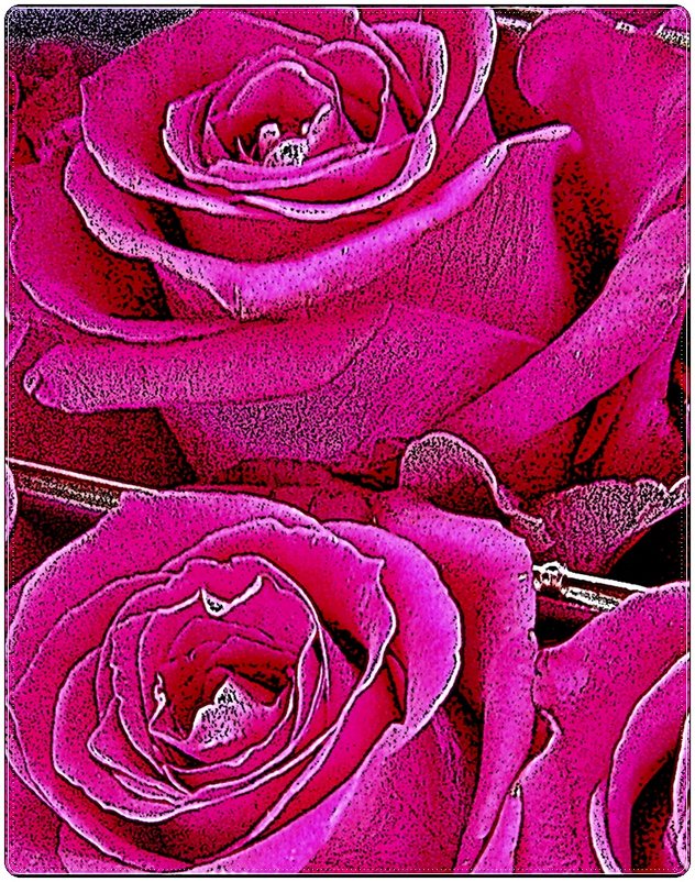 Розовые розы - Нина Корешкова