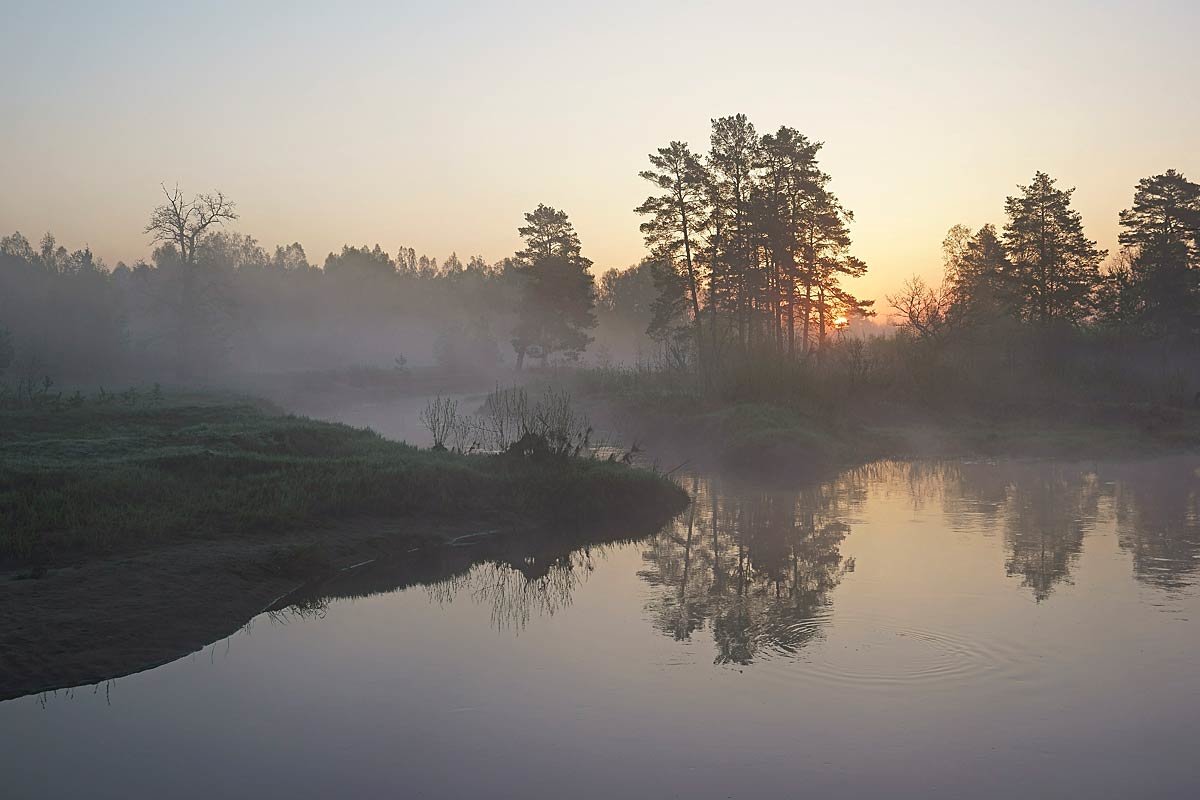 Восход солнца на реке Гусь - Сергей Курников
