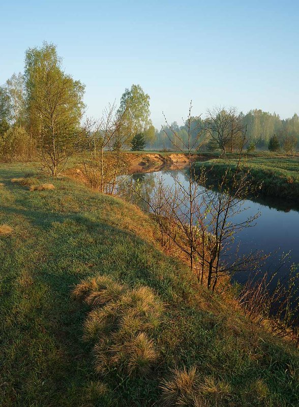 После восхода солнца на реке Гусь - Сергей Курников