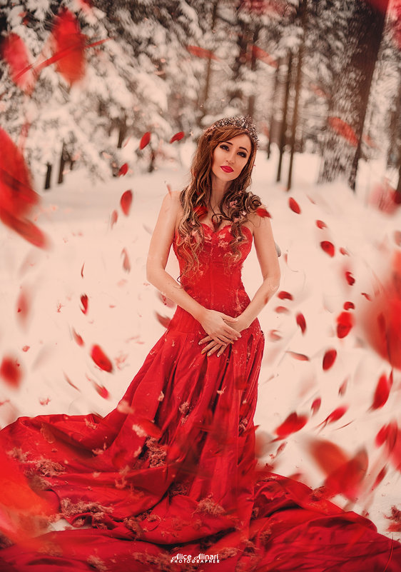 Red Queen - Ali Nari