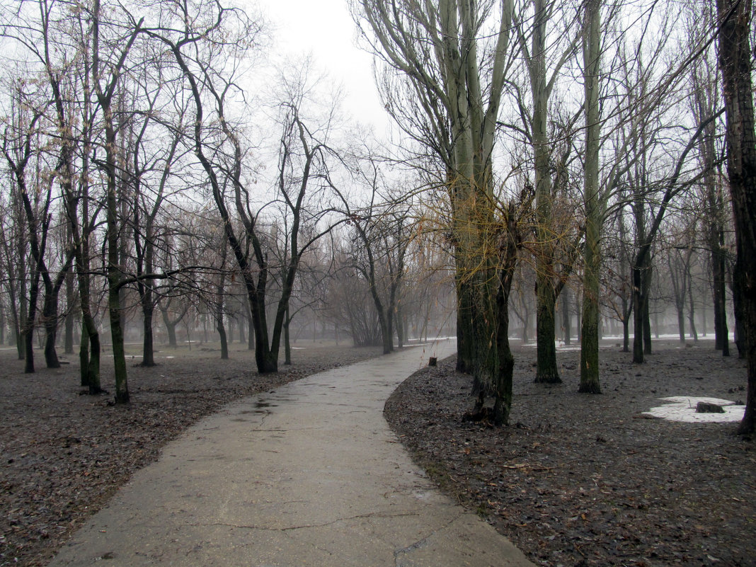 апрель,парк,дождь - Елена Шаламова