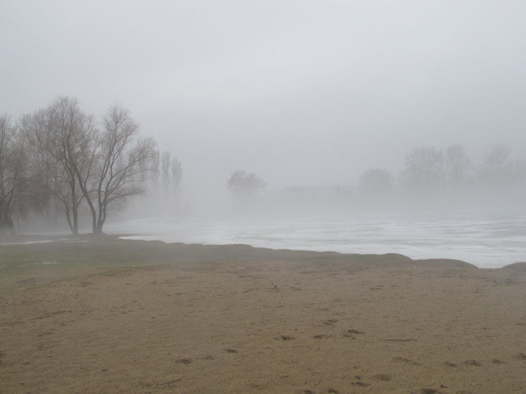 март,пляж,туман - Елена Шаламова