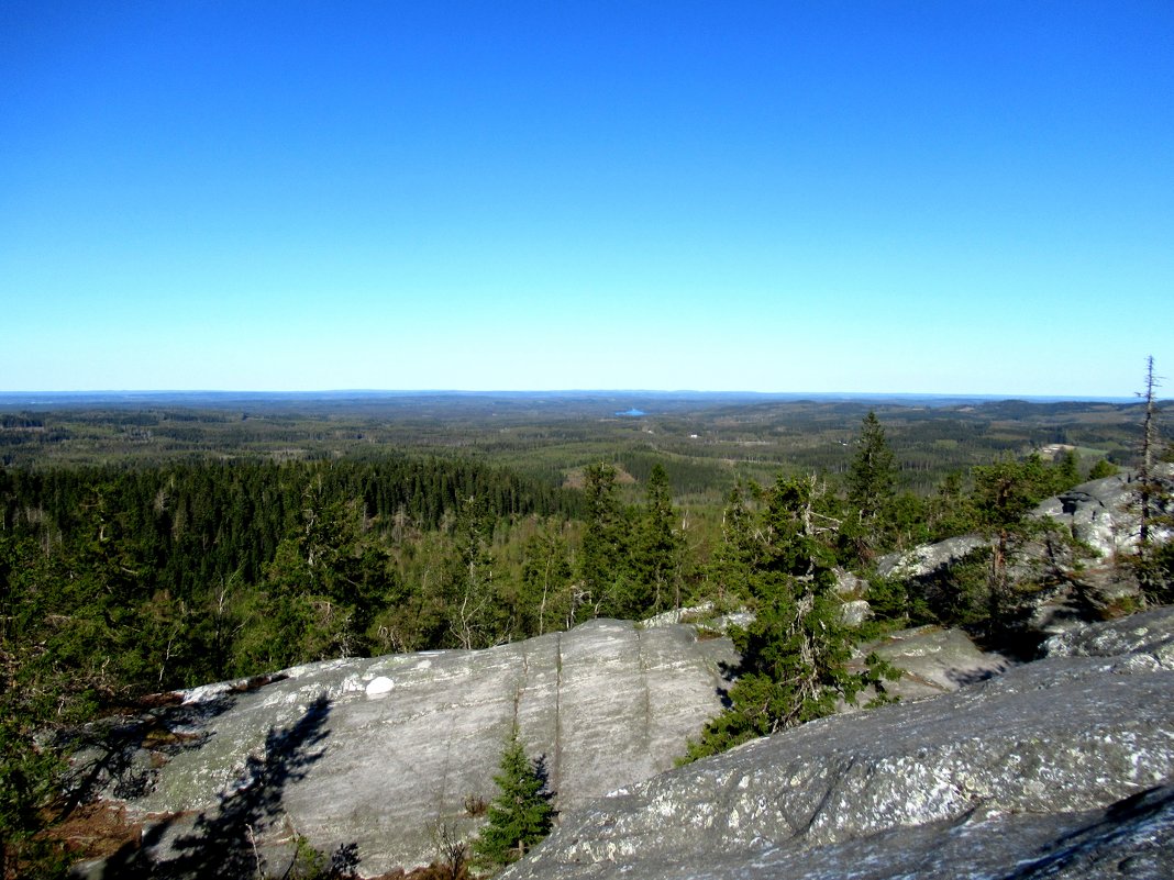 Национальный парк Коли (Финляндия, Северная Карелия). Вид с вершины Акка-Коли (Akka-Koli) - Елена Павлова (Смолова)