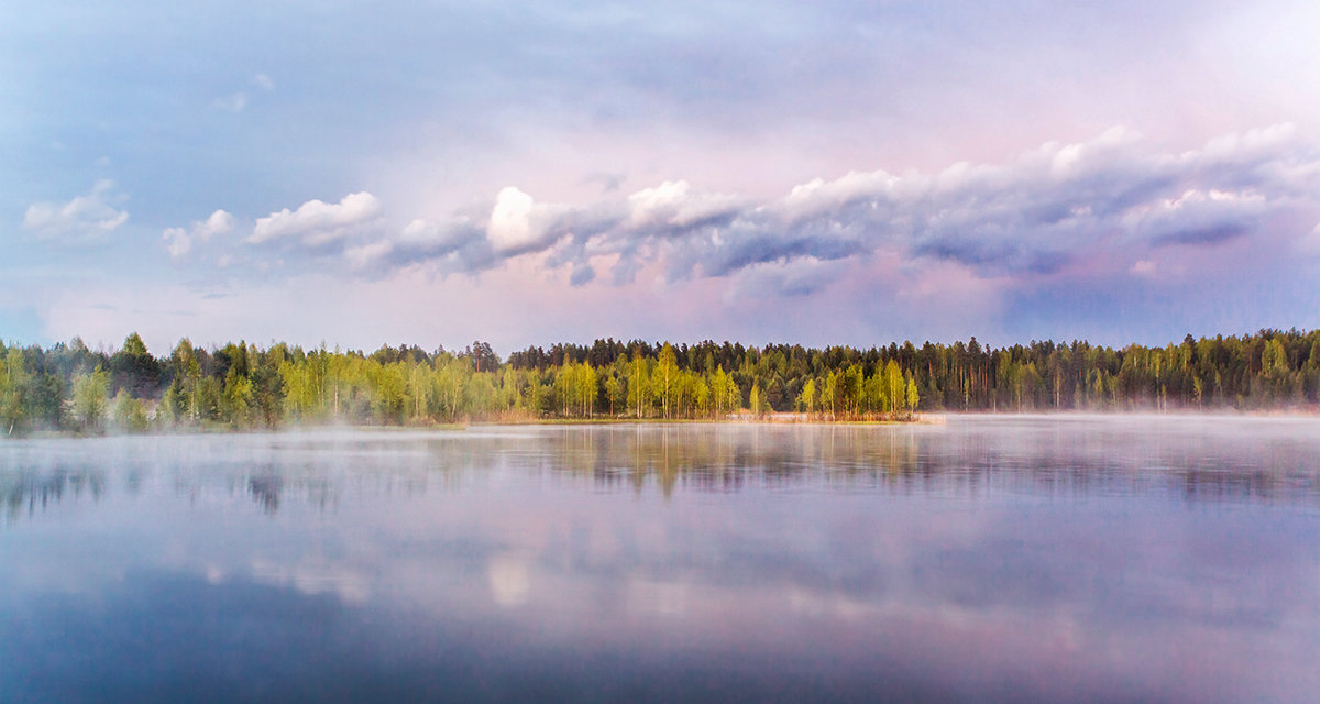 Туман над озером - Вячеслав Ложкин