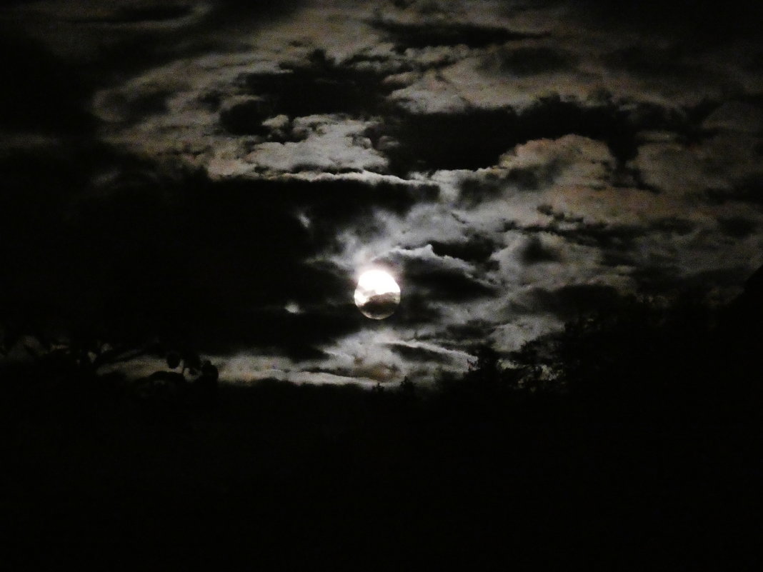 Лунный свет и облака - Heinz Thorns
