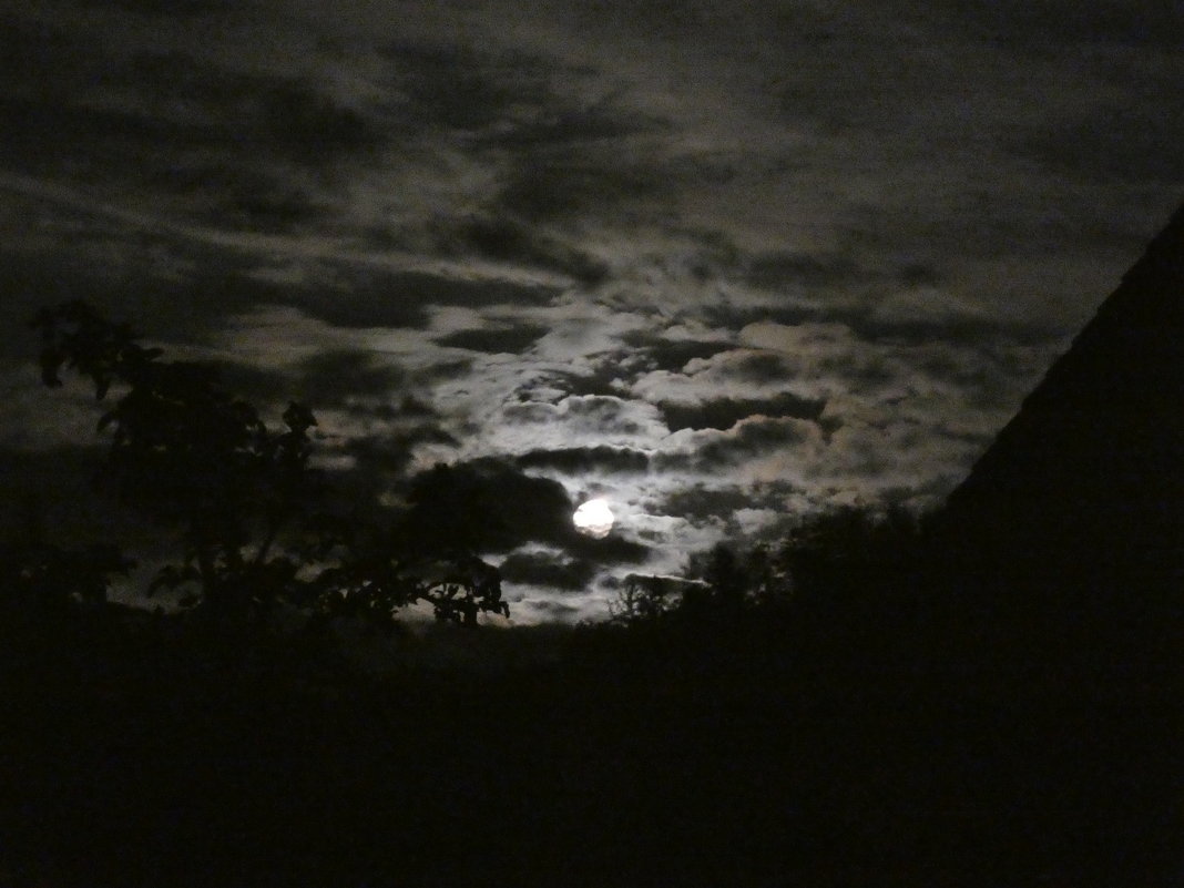 Лунный свет и облака - Heinz Thorns