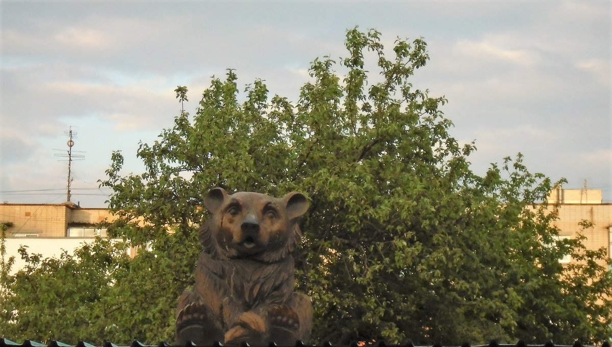 медведь - ольга хакимова
