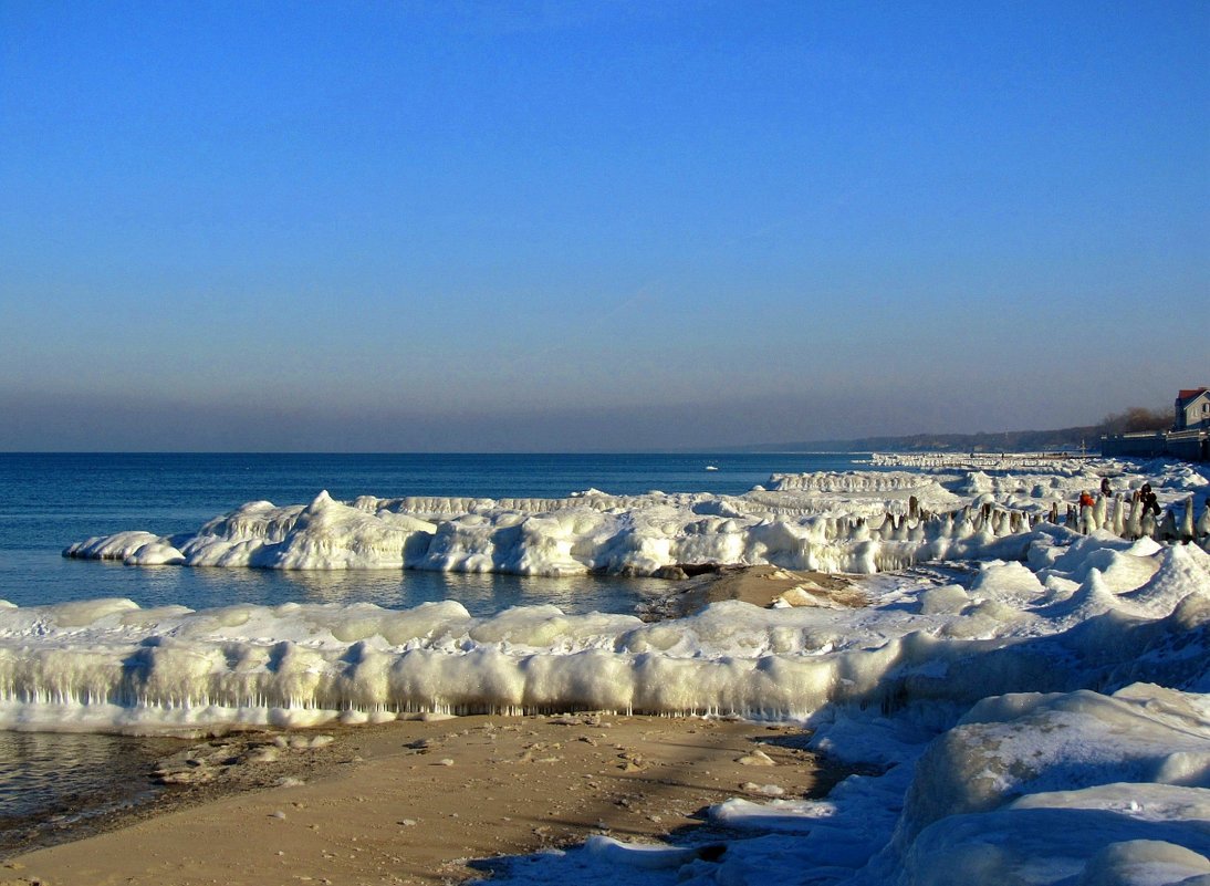 море в калининграде зимой