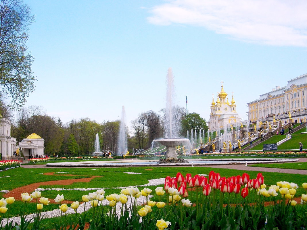 В Петергофе сплошь фонтаны и цветущие тюльпаны! - Лия ☼