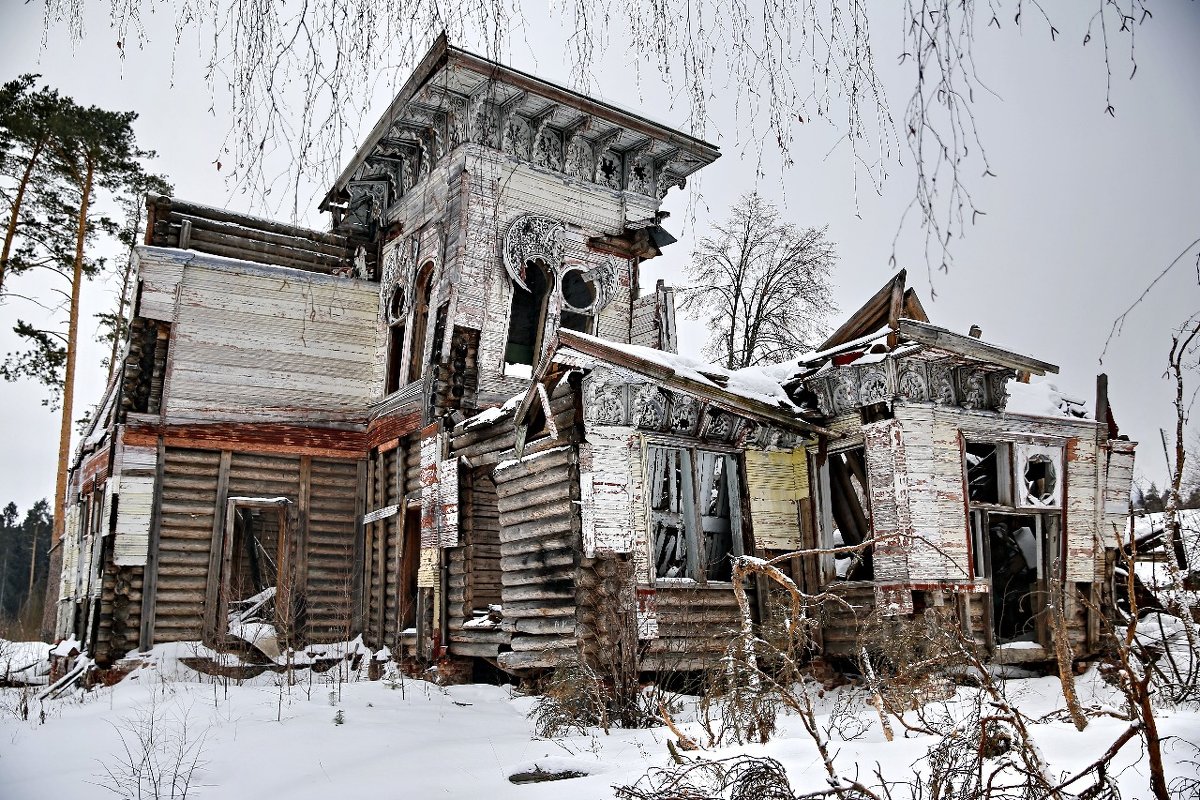 Заброшенный в лесу - Владимир 