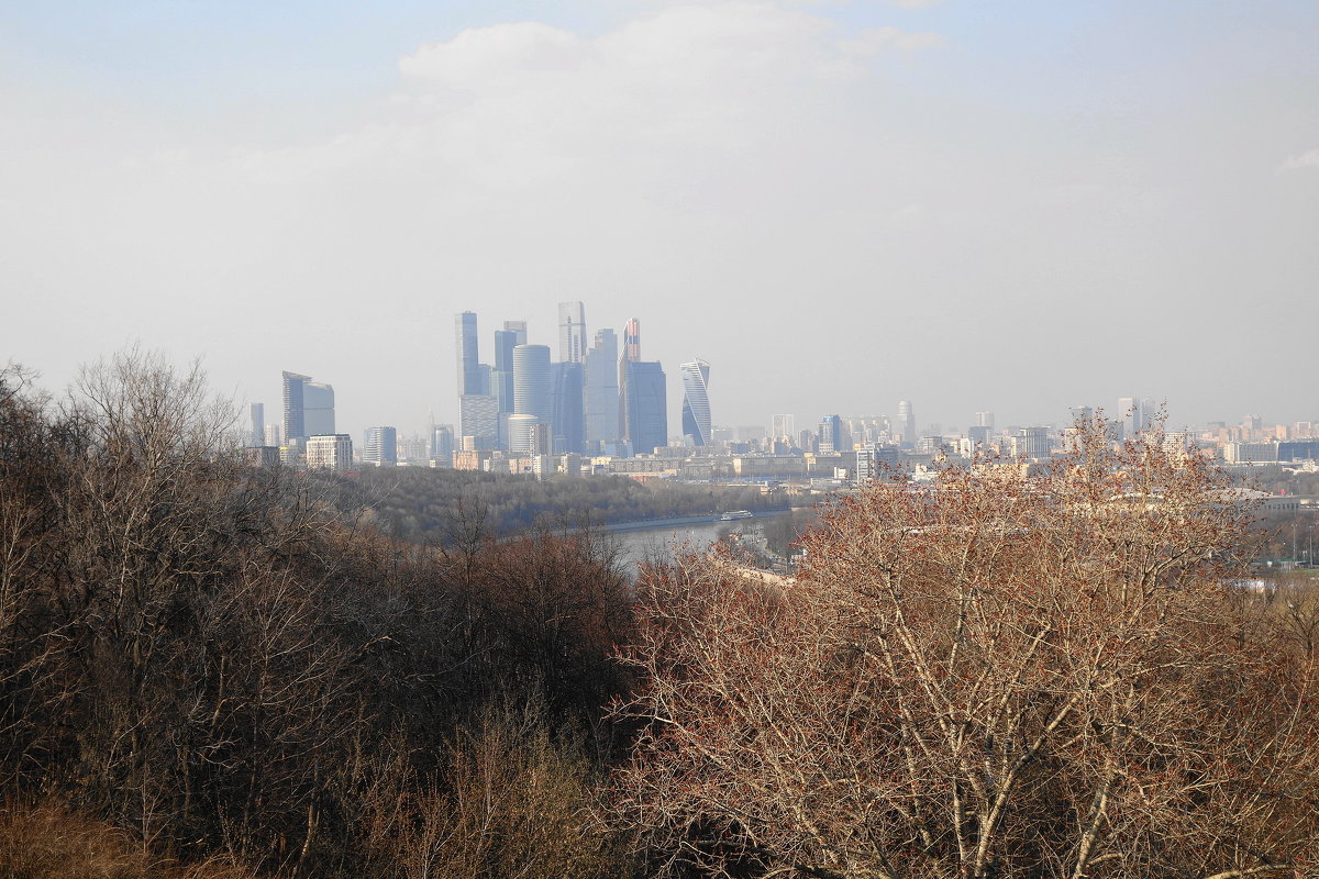 Виды Москвы с Воробьевых гор - Маргарита Батырева