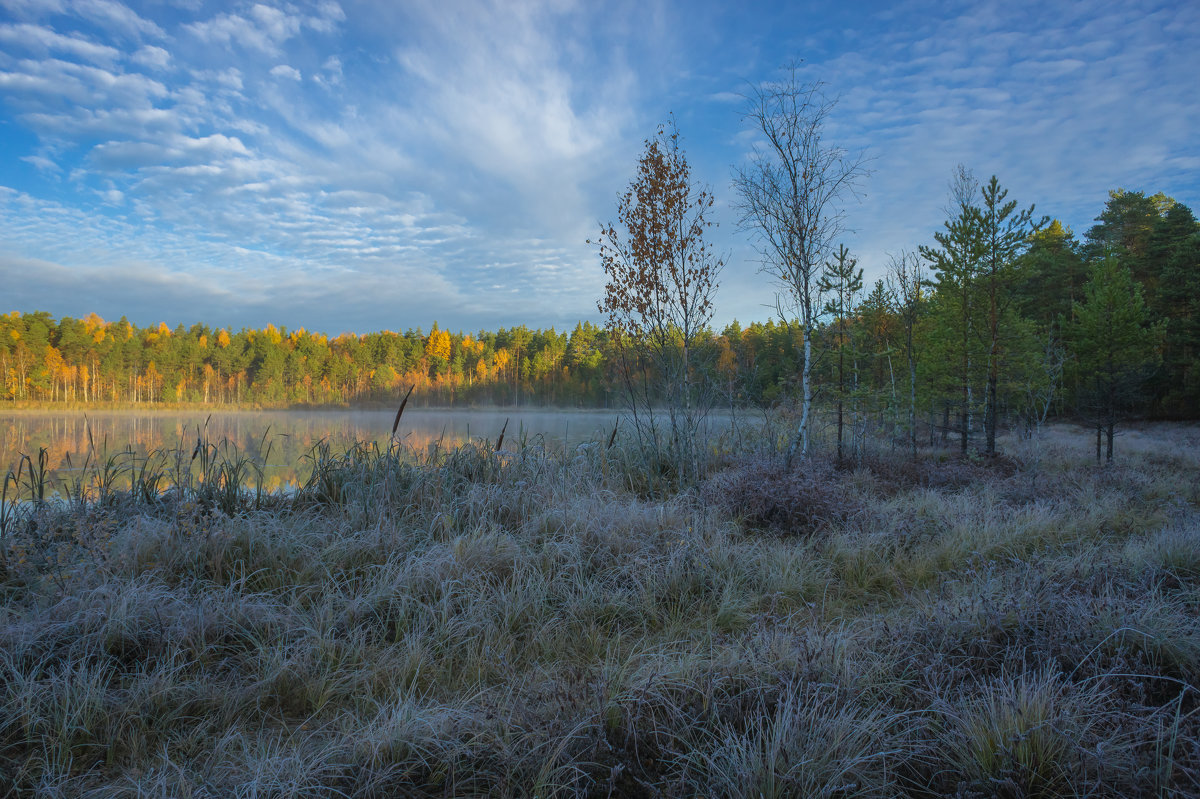 В осенний восход на лесном озере Свято. - Igor Andreev