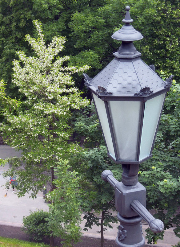 Старинный фонарь на Владимирской горке - Тамара Бедай 