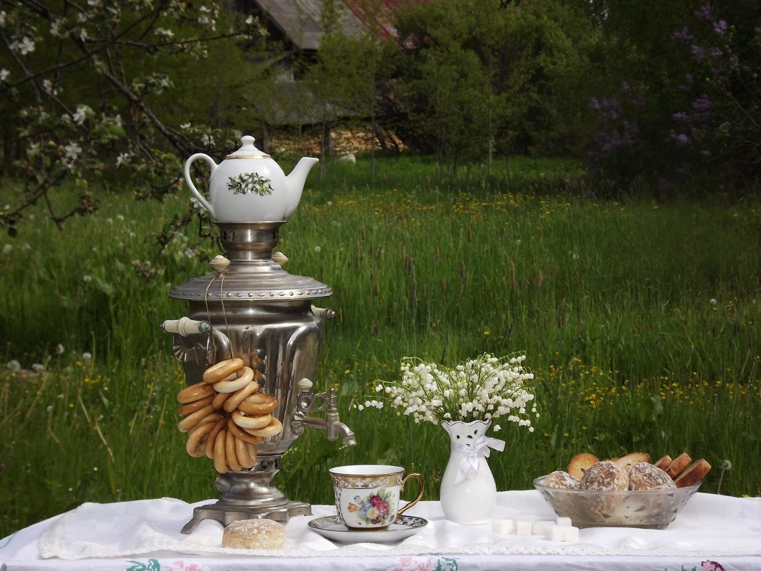 Чай в саду в выходные. - Нина Андронова
