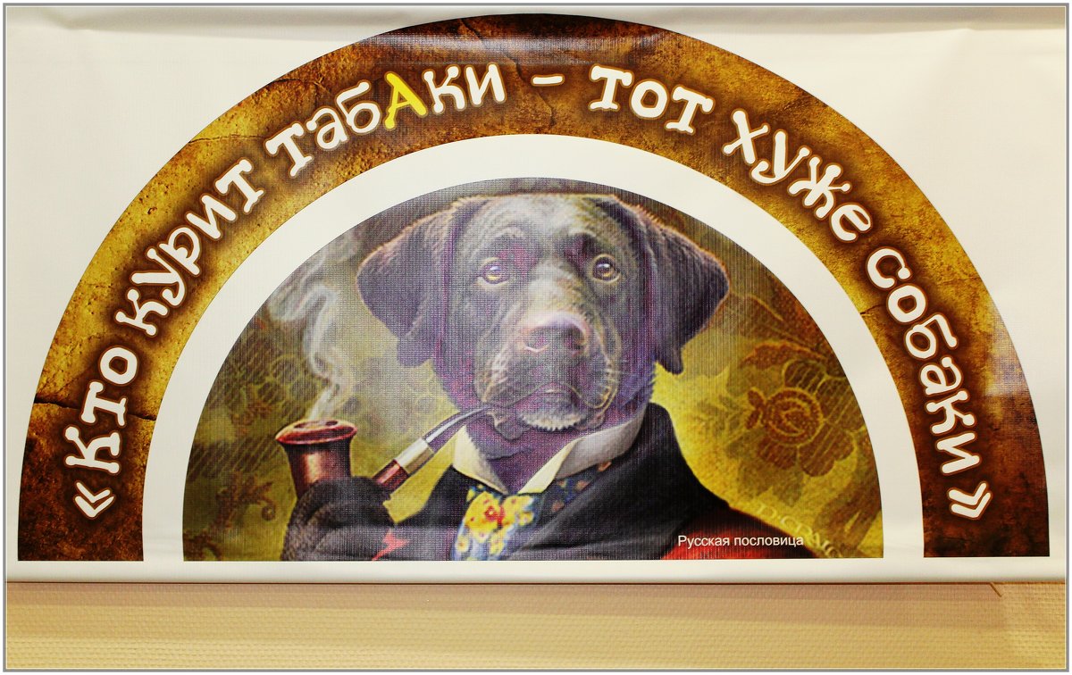 Плакат в одном из заведений... - Vladimir Semenchukov