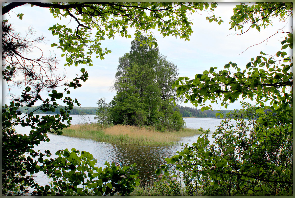 островок Гороховый,самый маленький из 6 островов озера Сапшо - Ольга Митрофанова