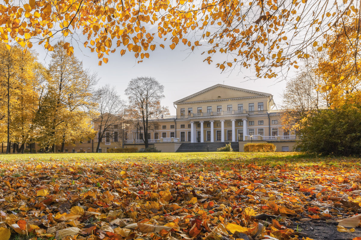 Юсуповский сад осень