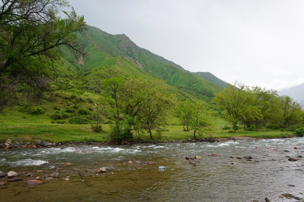 Тургень - Murat Bukaev 