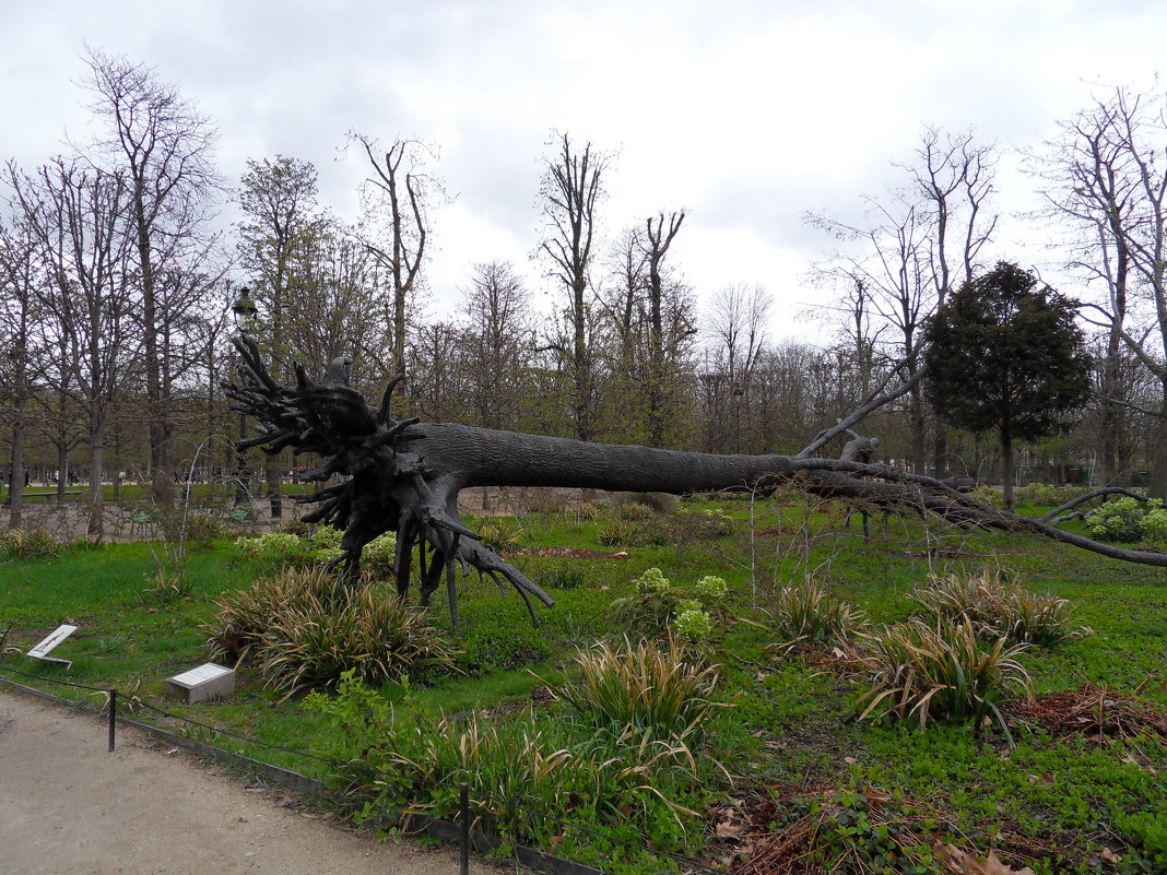 Скульптура поваленного дерева - Natalia Harries