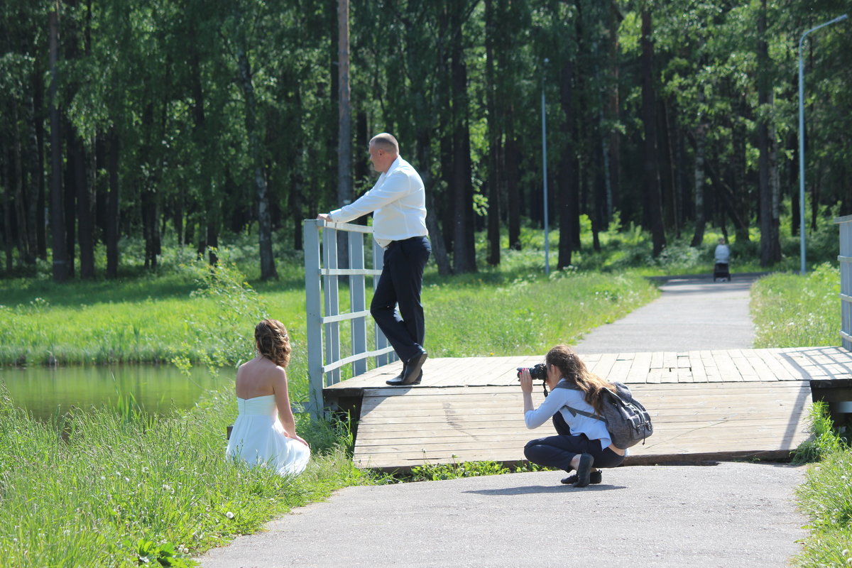 Вот так проходит фотопрогулка молодоженов - Елена Верховская