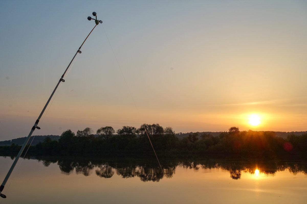 Утро на рыбалке :: Алексей Сметкин – Социальная сеть ФотоКто
