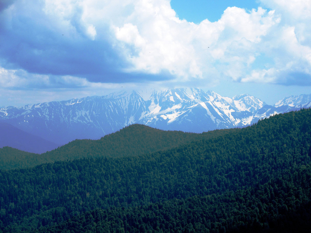 Панорама кавказских гор. - Вячеслав Медведев