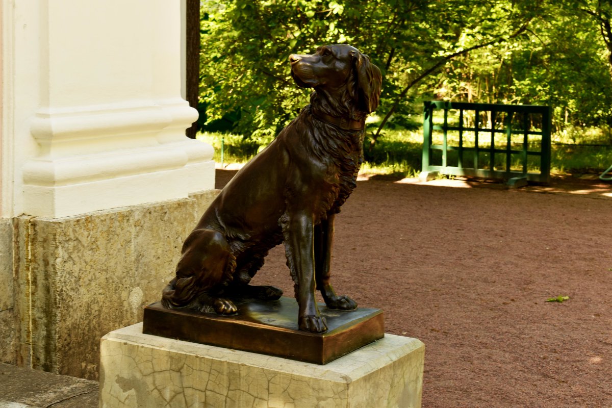 Скульптура ждущей собаки - Кирилл 