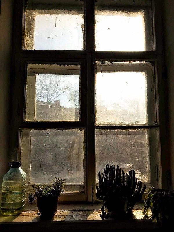 пыльное окно - peretz 