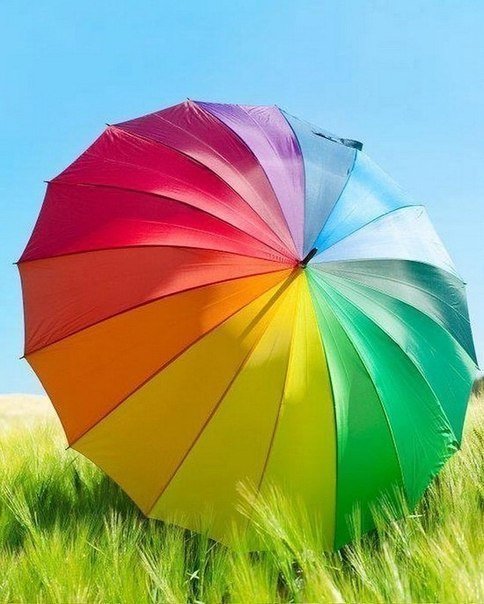 Umbrella - Creative Uni