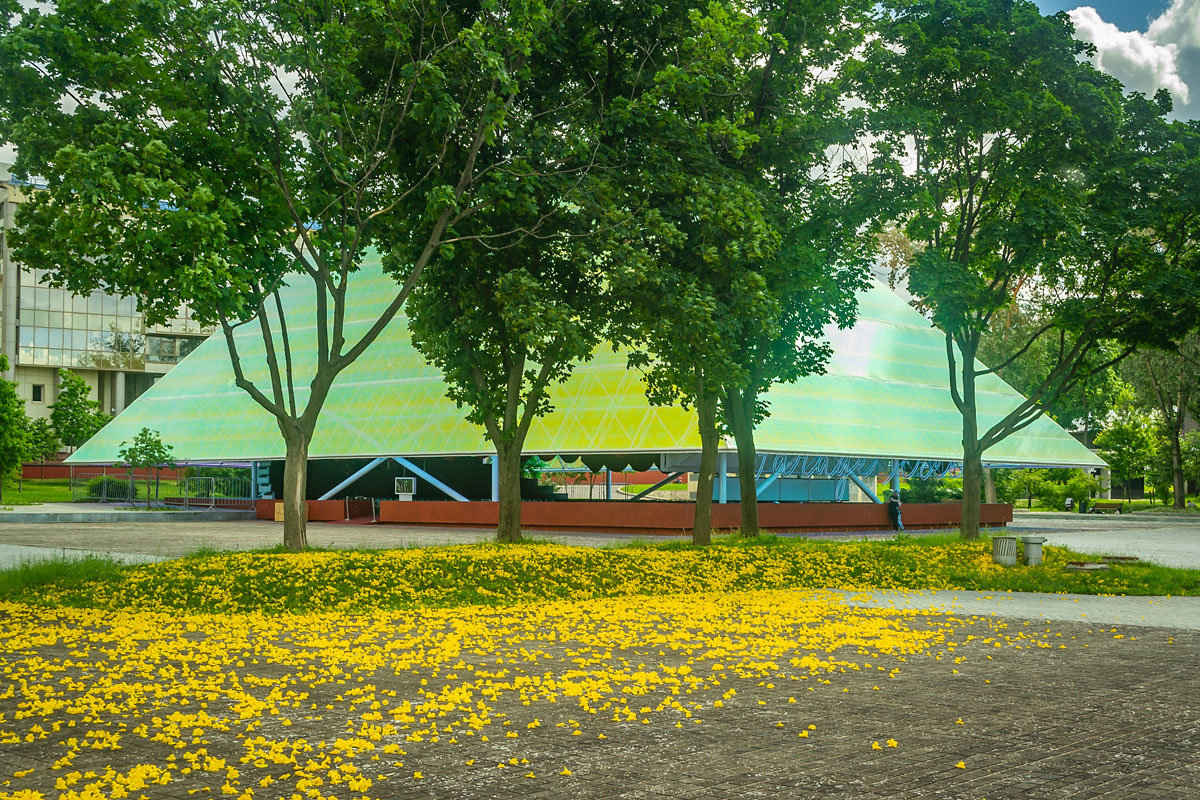 YELLOW FLOWERS IN FRONT OF THE GARAGE. ЖЕЛТЫЕ ЦВЕТОЧКИ ПЕРЕД ГАРАЖОМ - Сергей Янович Микк