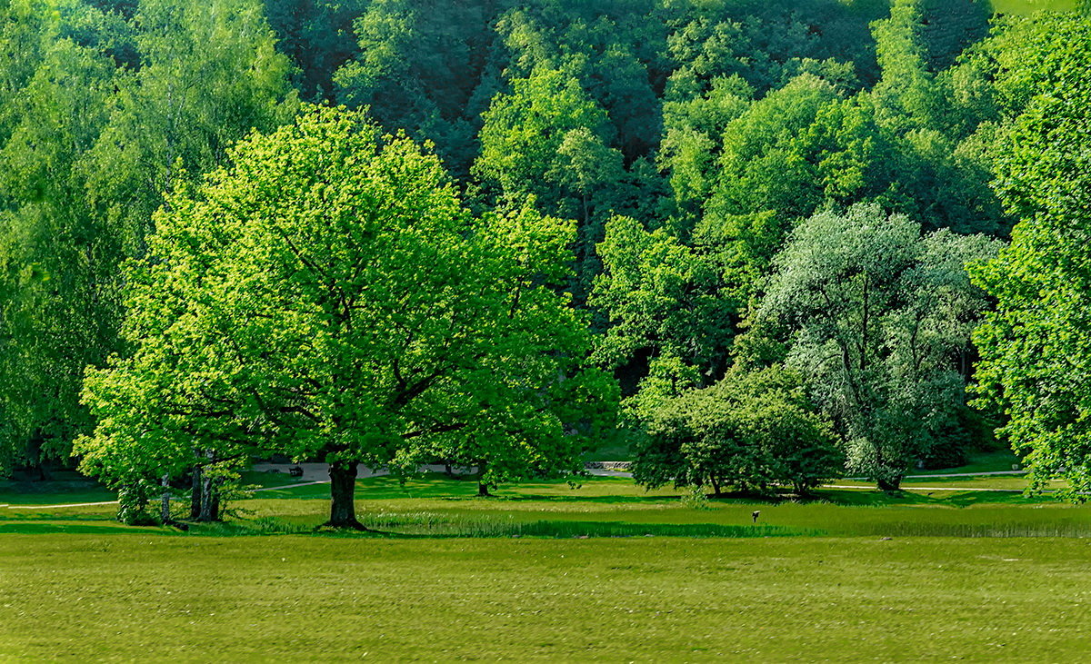 Summer in Sigulda 1 - Arturs Ancans