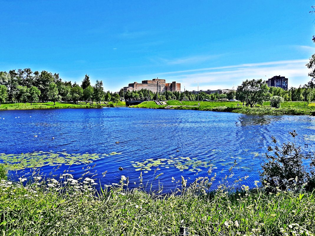 В парке - Виктор Егорович