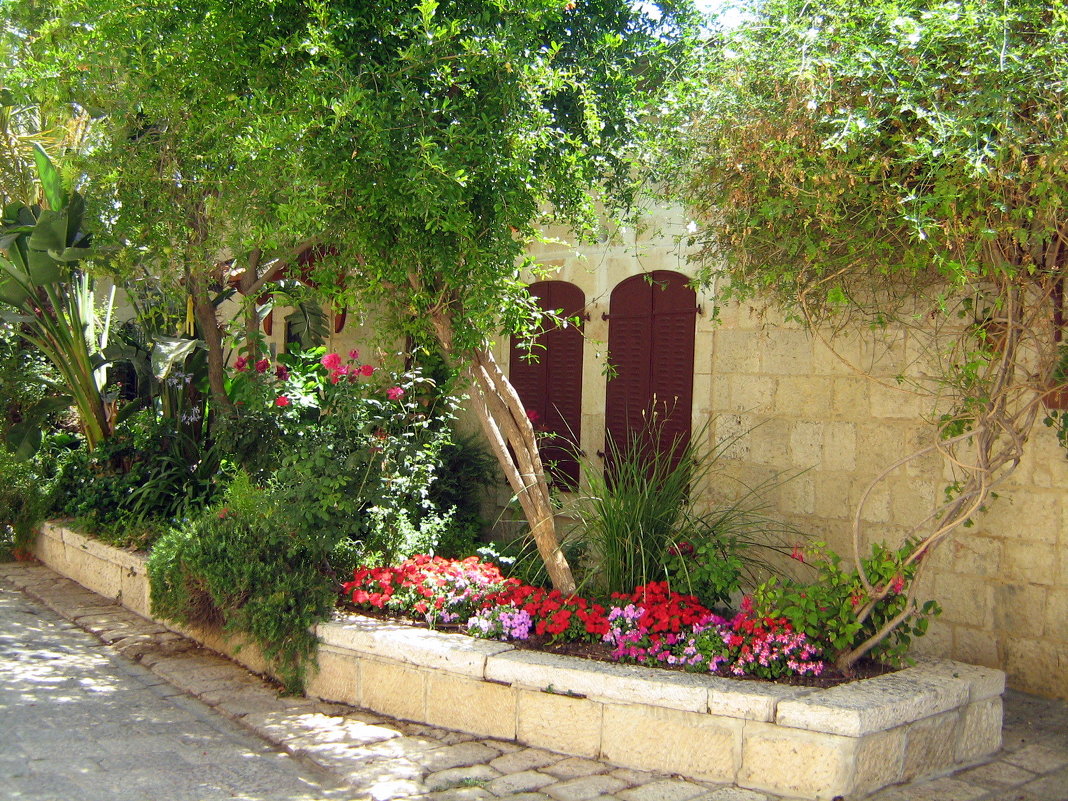 Иерусалимский дворик - Гала 