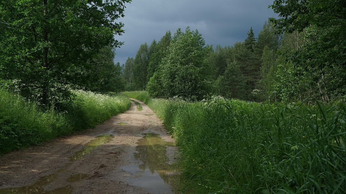 Дорога из деревни - Владимир Гилясев
