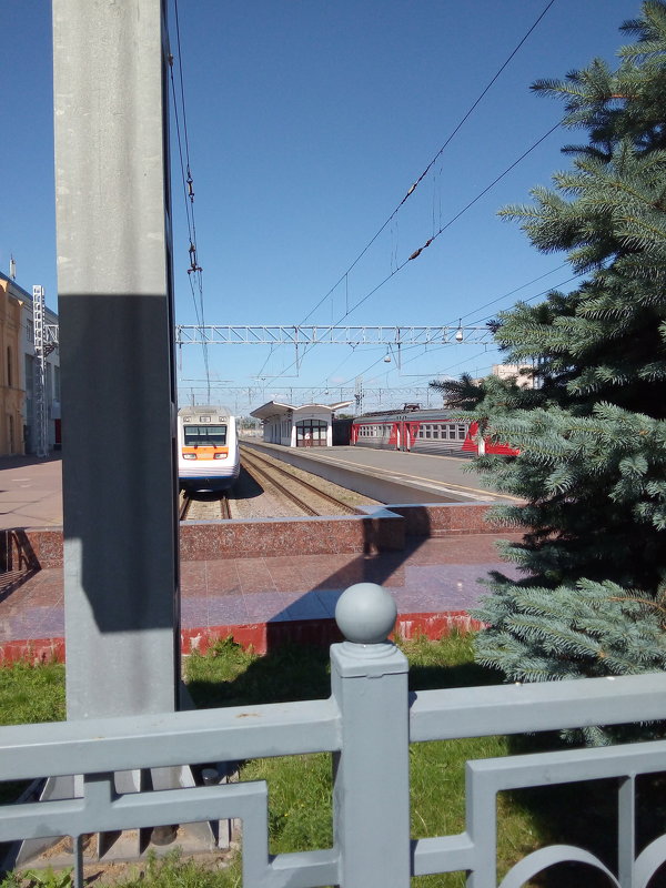 Железнодорожные платформы на Финляндском вокзале. - Светлана Калмыкова