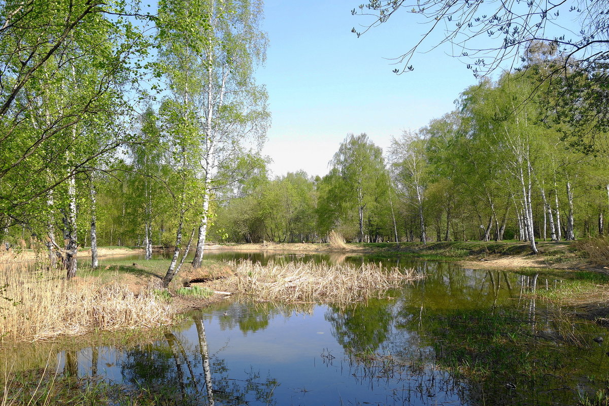 Ботанический сад - Маргарита Батырева