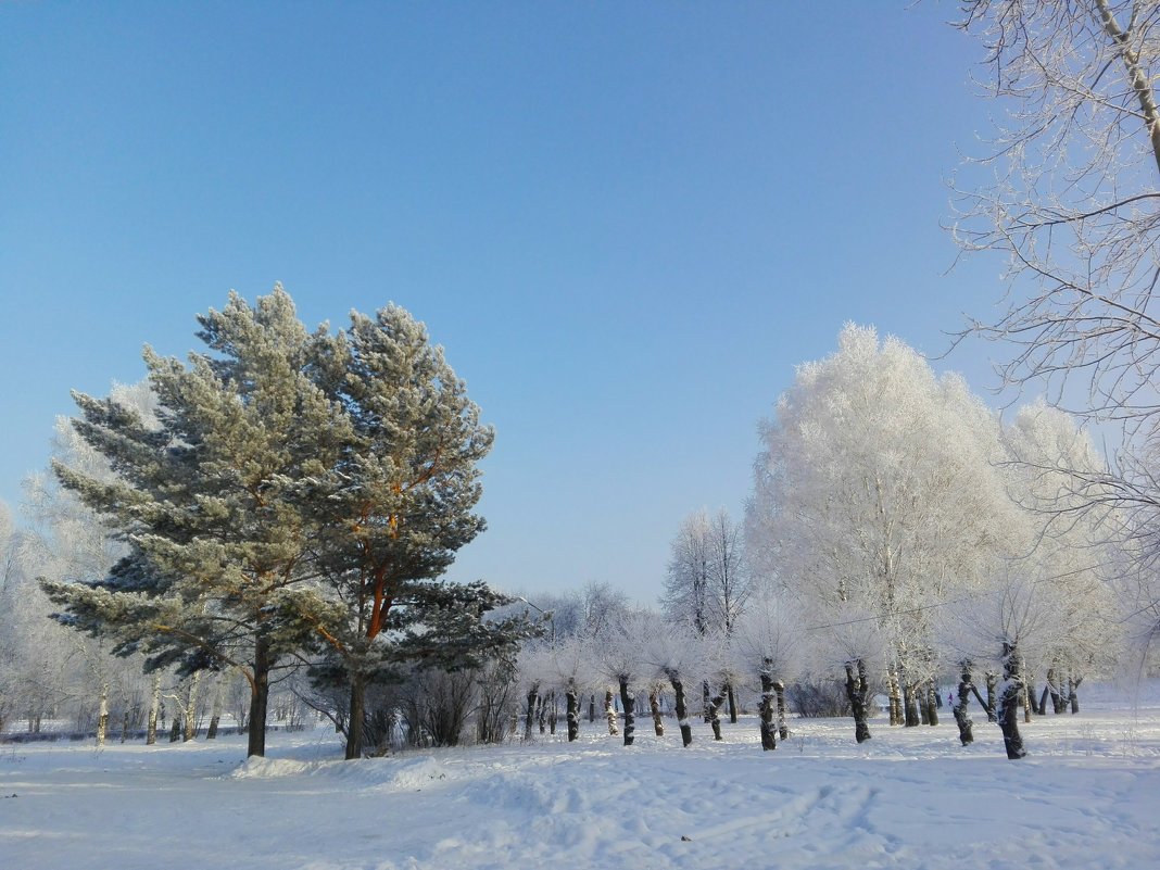 Лето - Зима - Анна 
