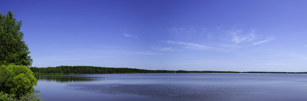 Озеро Белое - Кот Шредингера