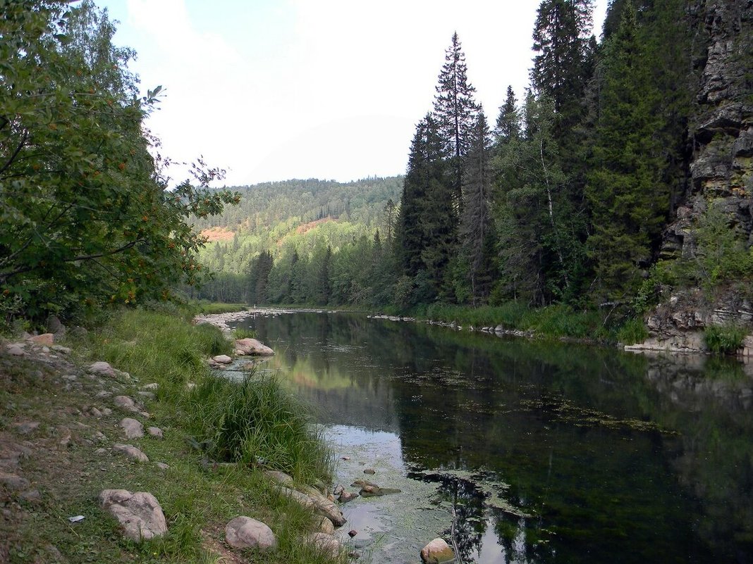 Спокойная река - Вера Щукина