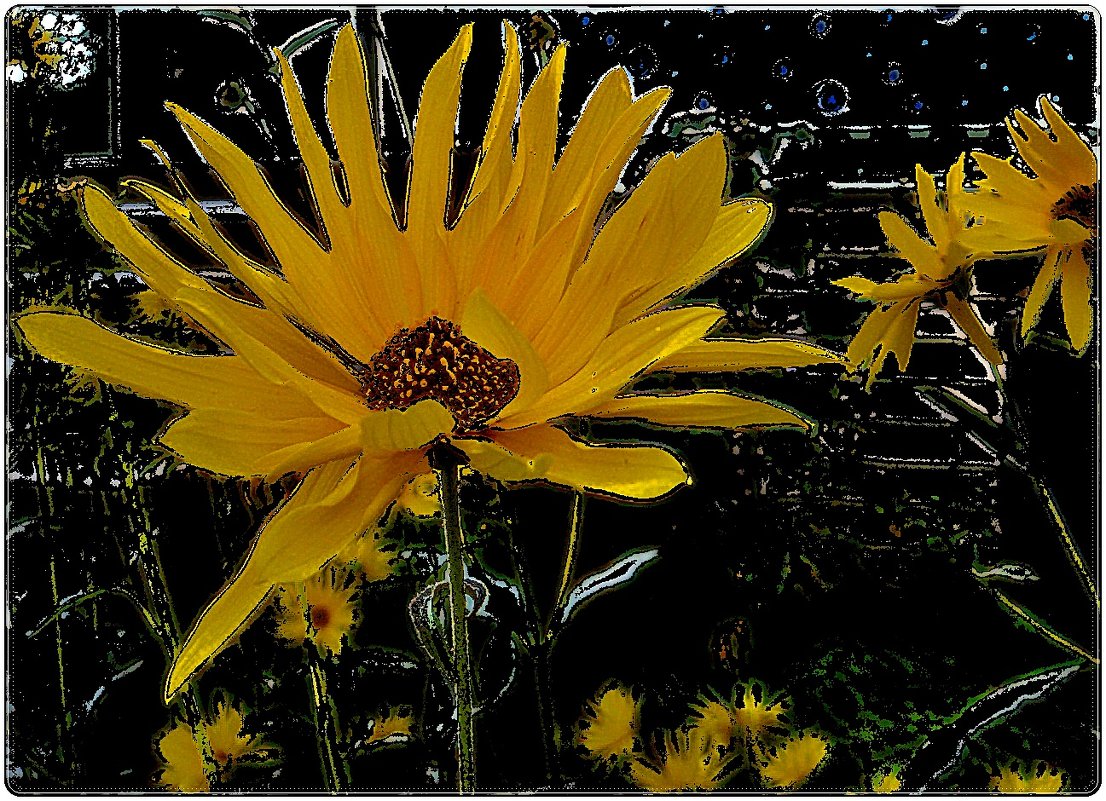 Ах, эти жёлтые цветы... Топинамбур - Нина Корешкова