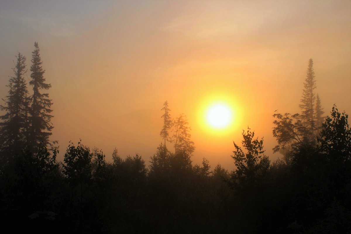 Солнце восходит в тумане - Сергей Чиняев 