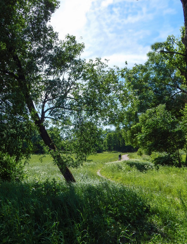 Санкт-Петербург. Царское Село. - Лариса (Phinikia) Двойникова