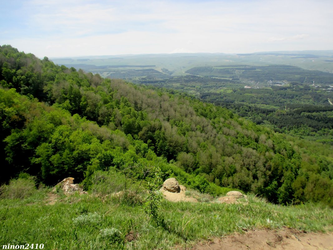 Кисловодск. В курортном парке - Нина Бутко