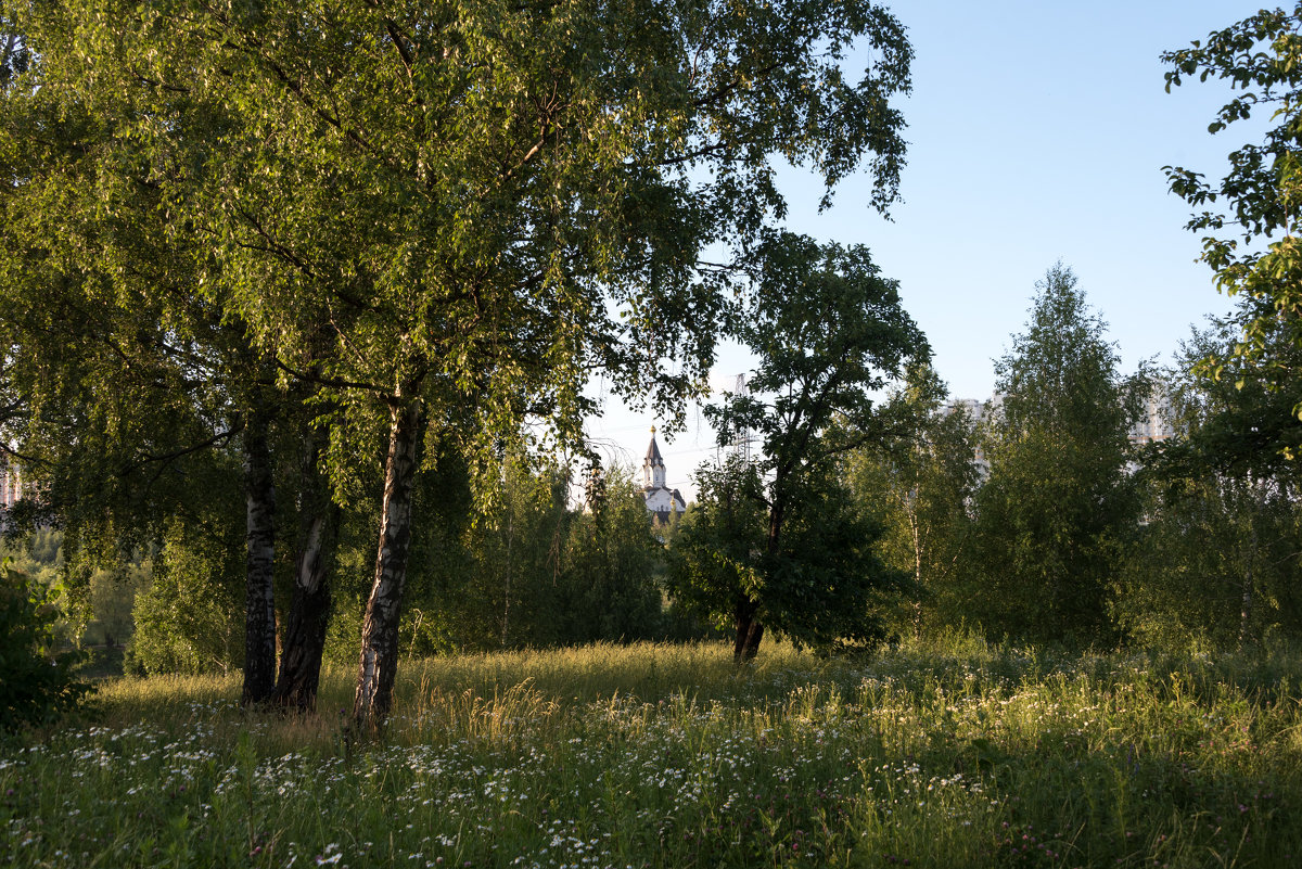 *** - Владимир Безбородов