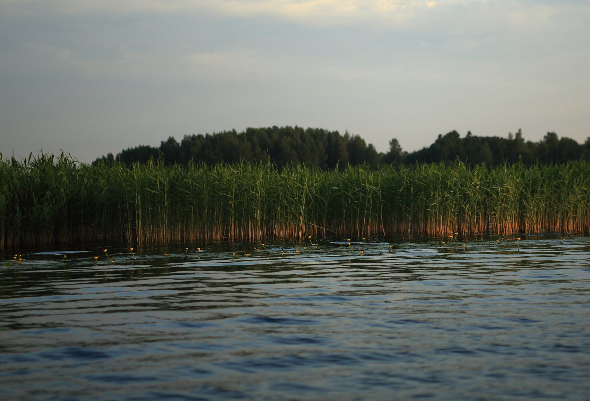 На озере - Павел 