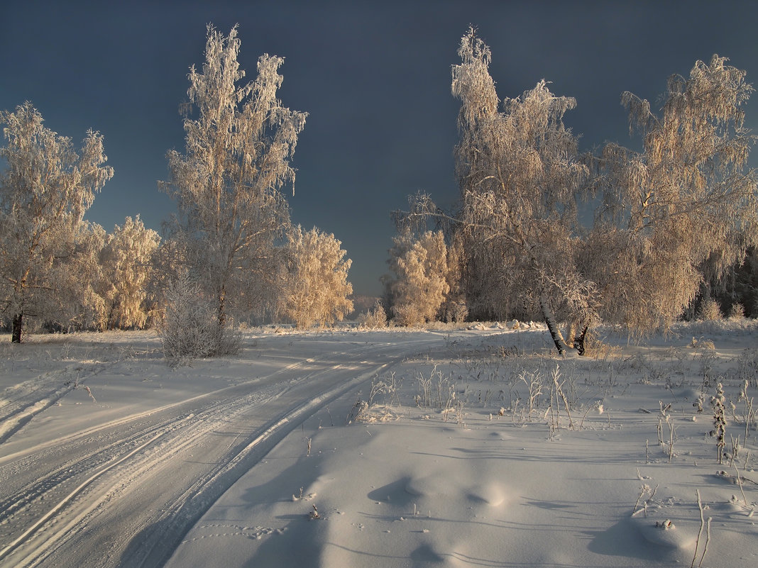 По белой дороге меж зимних берёз... - Александр Попов