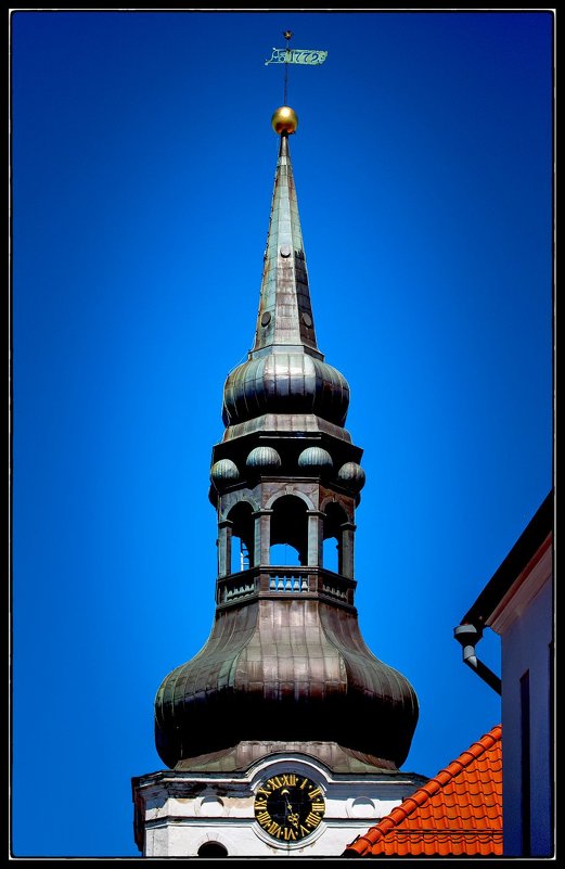 Tallinn - Jossif Braschinsky