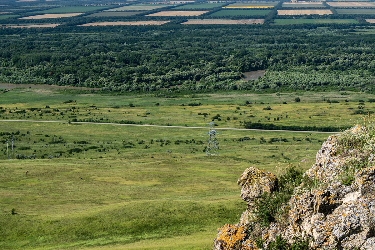 Загородная прогулка удалась - Игорь Сикорский