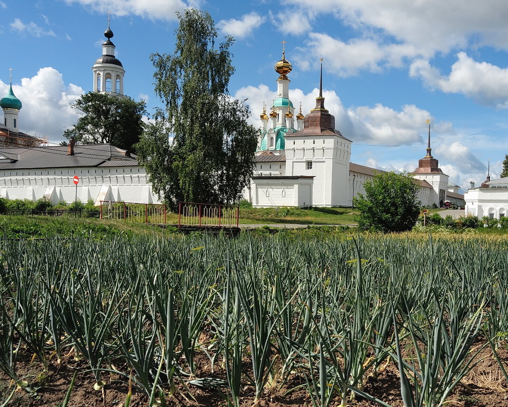 Перья зеленого лука, древние стены Толгского монастыря - Николай Белавин